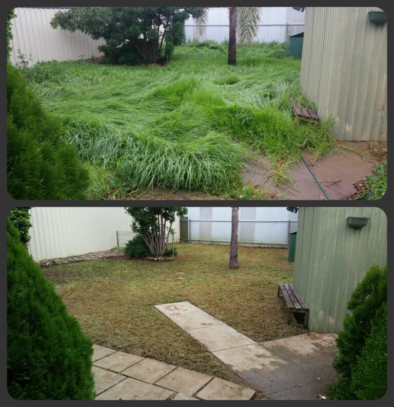 before and after muluch cleaning h