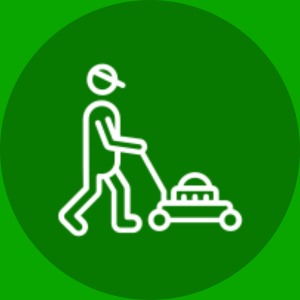 whatsapp image 2025 01 12 at 01.39.37 7cabd46e.jpg