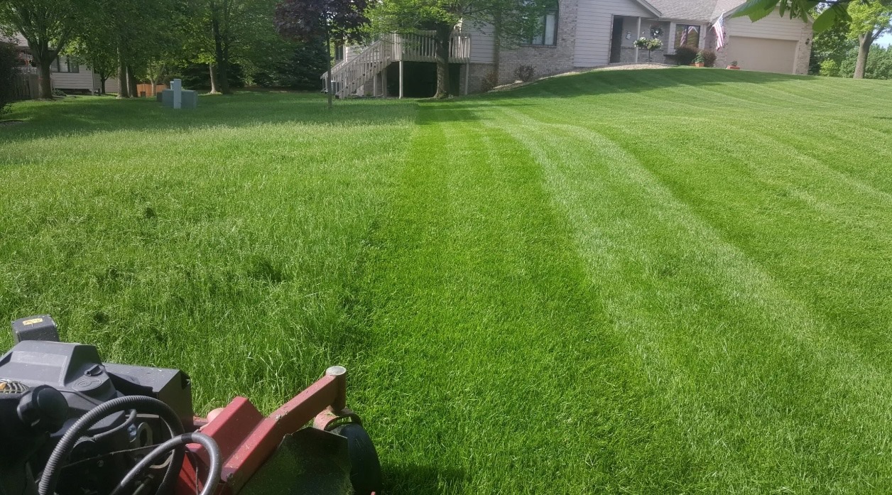 whatsapp image 2025 01 12 at 20.27.18 f54a4d56.jpg