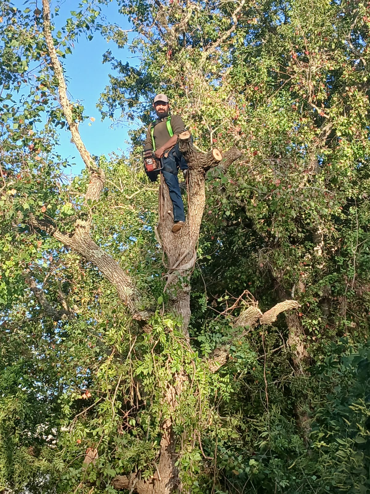 whatsapp image 2026 02 01 at 7.28.54 pm